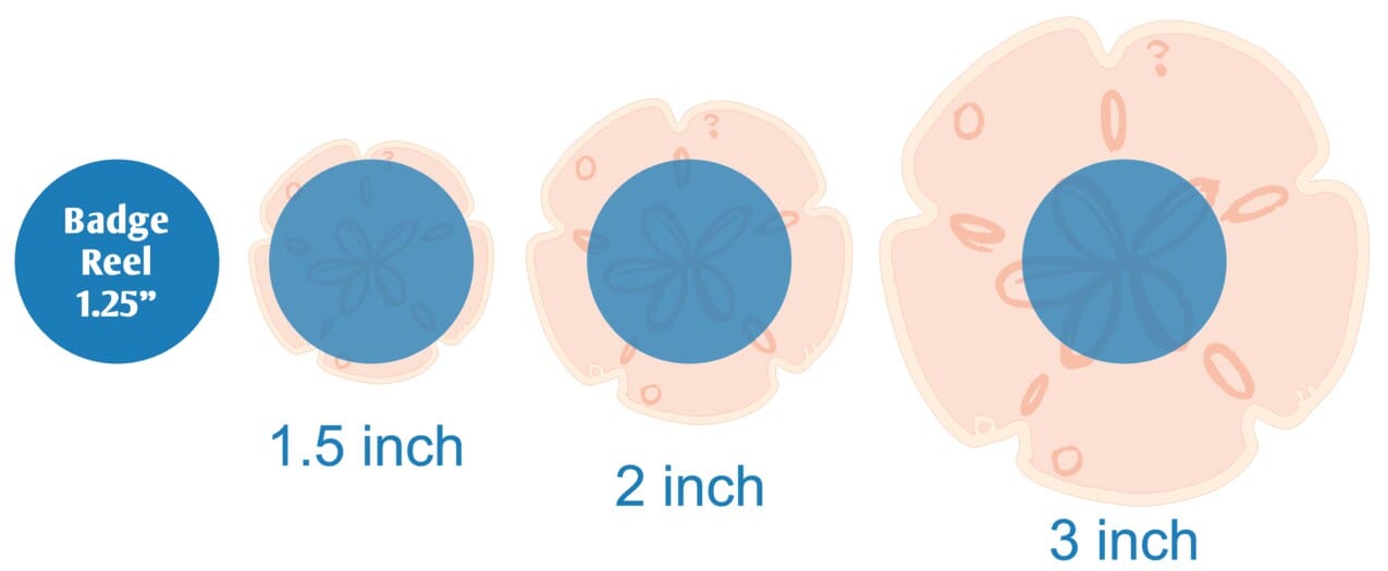 Sand Dollar - Acrylic Shape #172