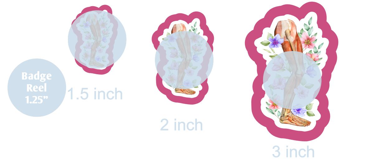 Anatomy Leg with Flowers - DECAL AND ACRYLIC SHAPE #DA0763