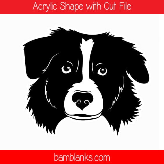 Australian Shepherd - Acrylic Shape #257