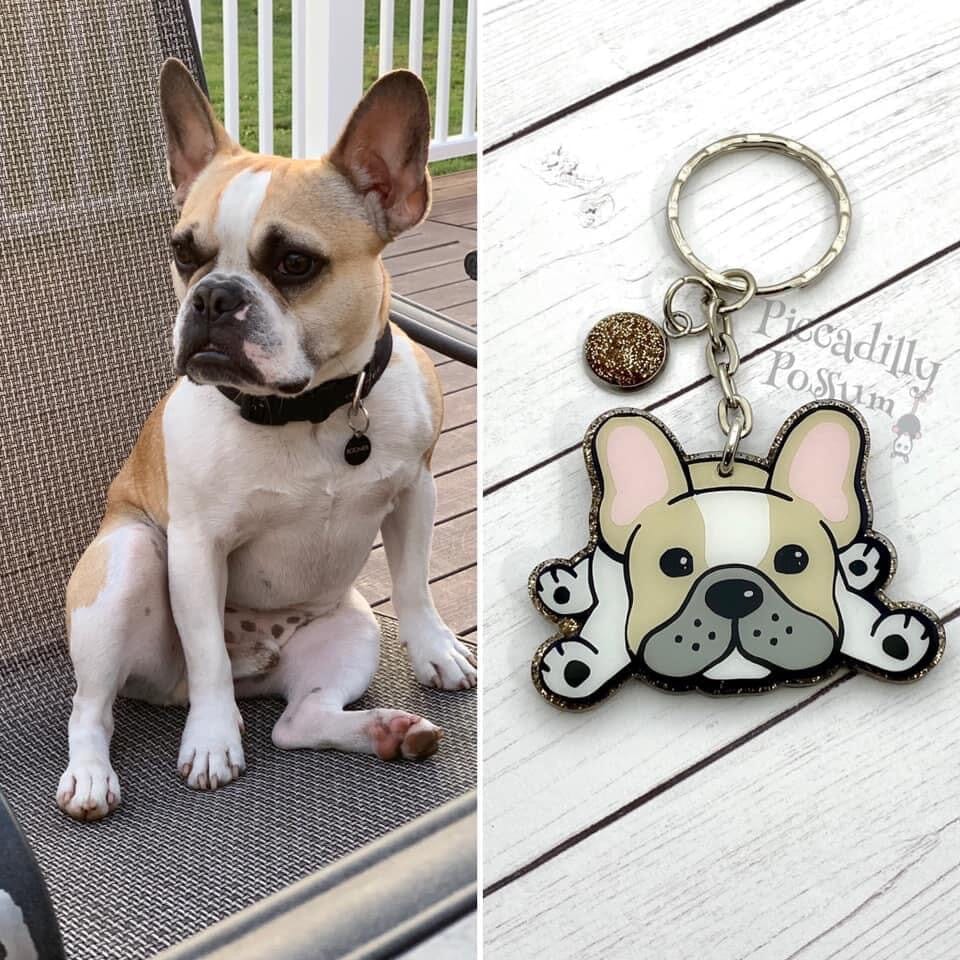 Lazy French Bulldog - Acrylic Shape #307