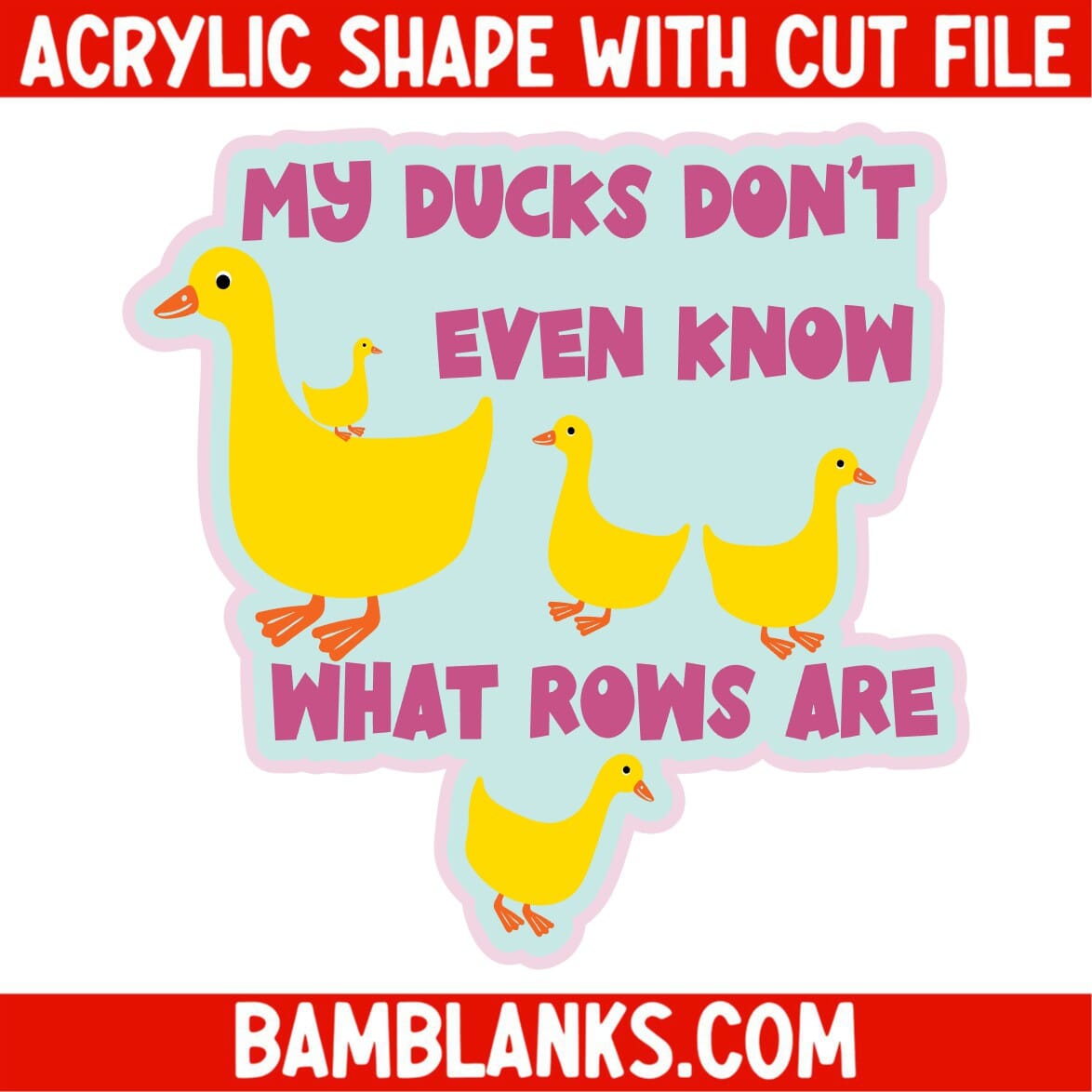 My Ducks Dont Even Know - Acrylic Shape #2031