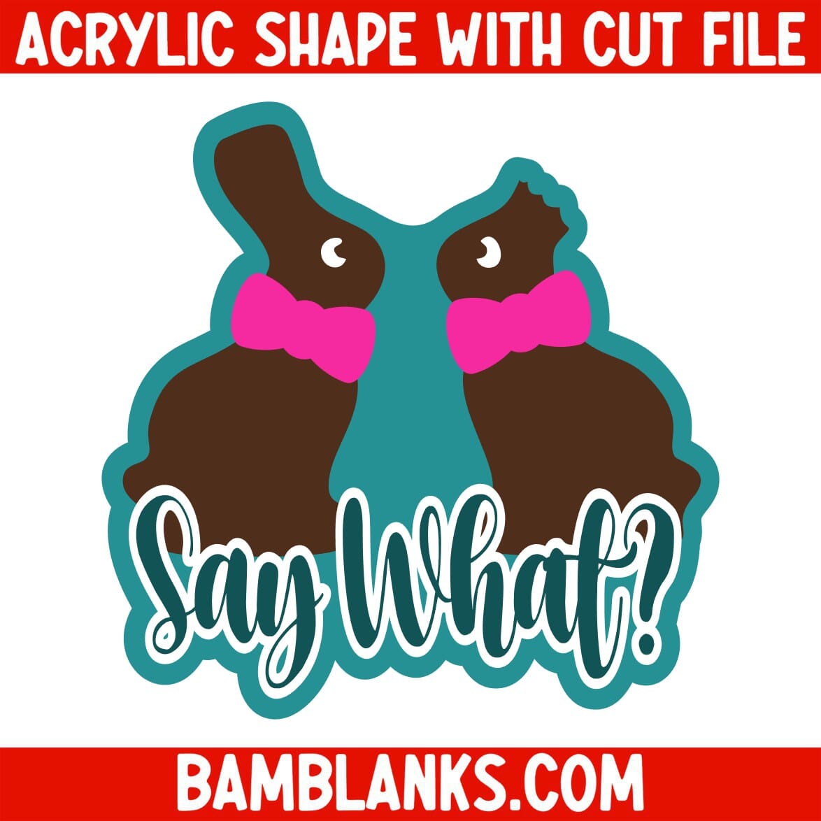 Say What - Acrylic Shape #1367