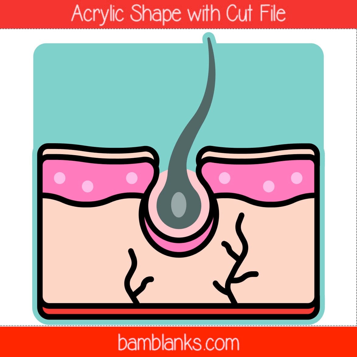 Skin Cell - Acrylic Shape #1597