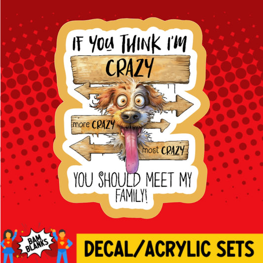 If You Think Im Crazy You Should Meet My Family - DECAL AND ACRYLIC SHAPE #DA02915