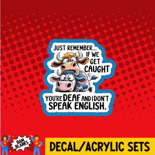 Remember If We Get Caught - DECAL AND ACRYLIC SHAPE #DA03713