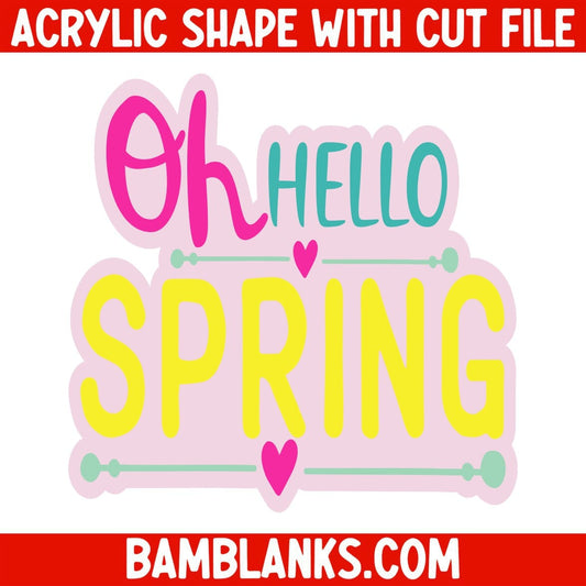 Oh Hello Spring - Acrylic Shape #1234