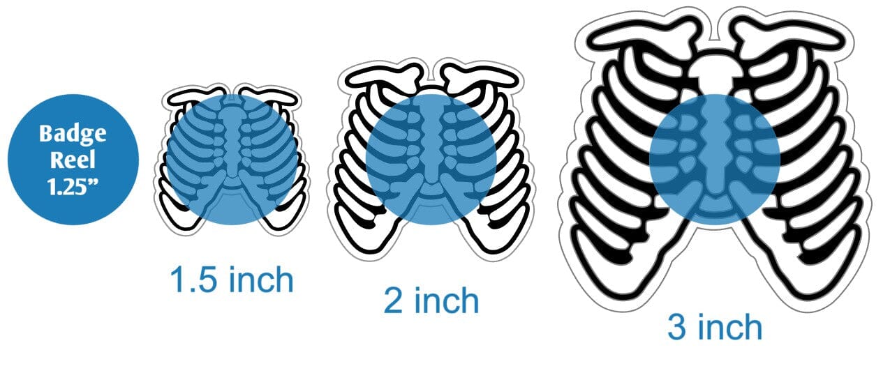 Rib Cage - Acrylic Shape #003