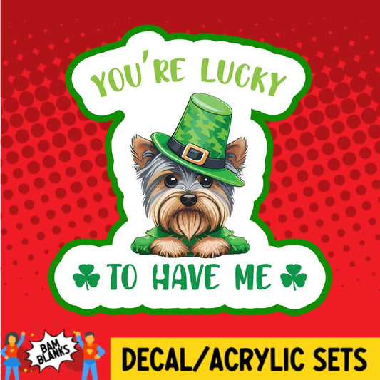 Youre Lucky to Have Me Yorkie - DECAL AND ACRYLIC SHAPE #DA01712