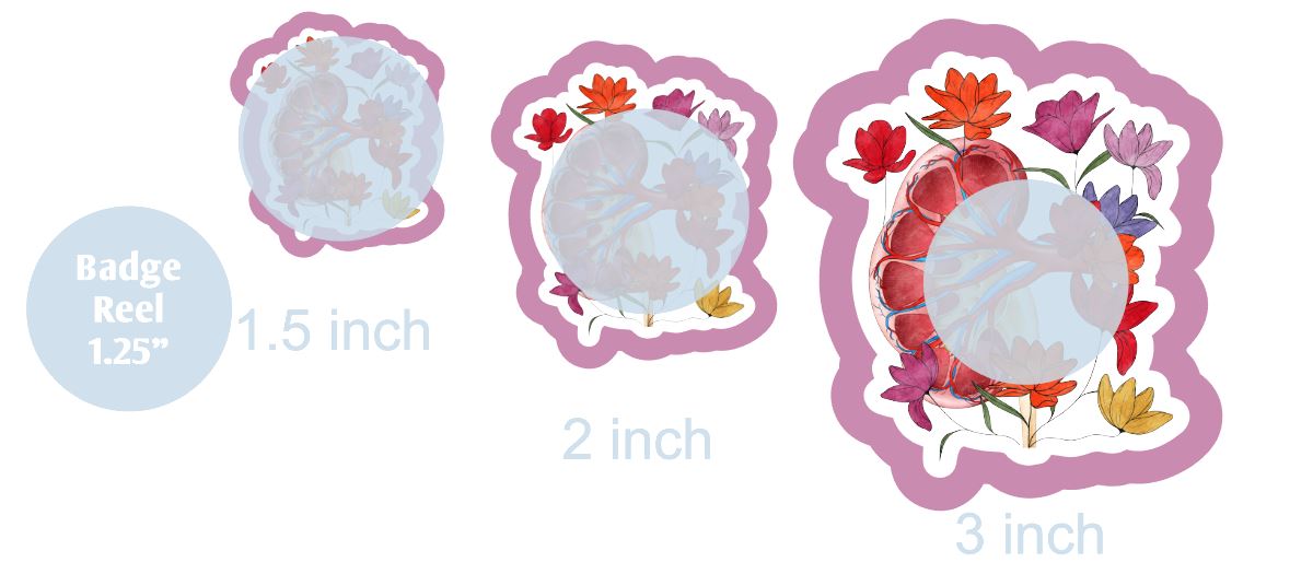 Anatomy Kidney with Flowers - DECAL AND ACRYLIC SHAPE #DA0773