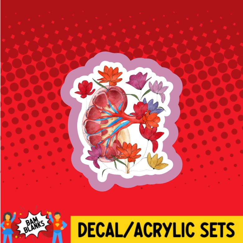 Anatomy Kidney with Flowers - DECAL AND ACRYLIC SHAPE #DA0773