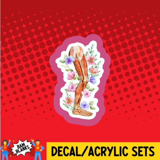 Anatomy Leg with Flowers - DECAL AND ACRYLIC SHAPE #DA0763