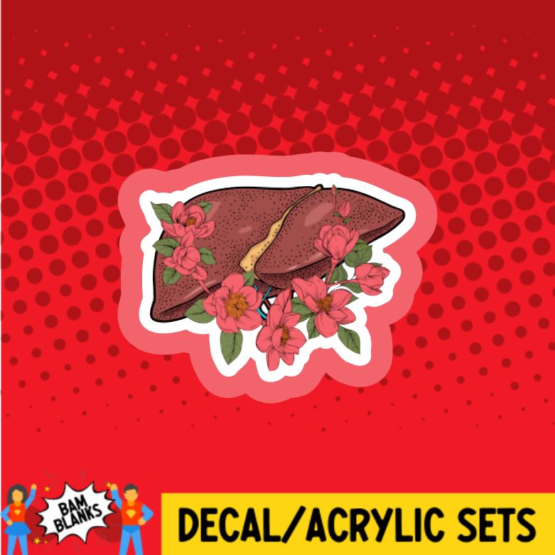 Anatomy Liver with Flowers - DECAL AND ACRYLIC SHAPE #DA0776