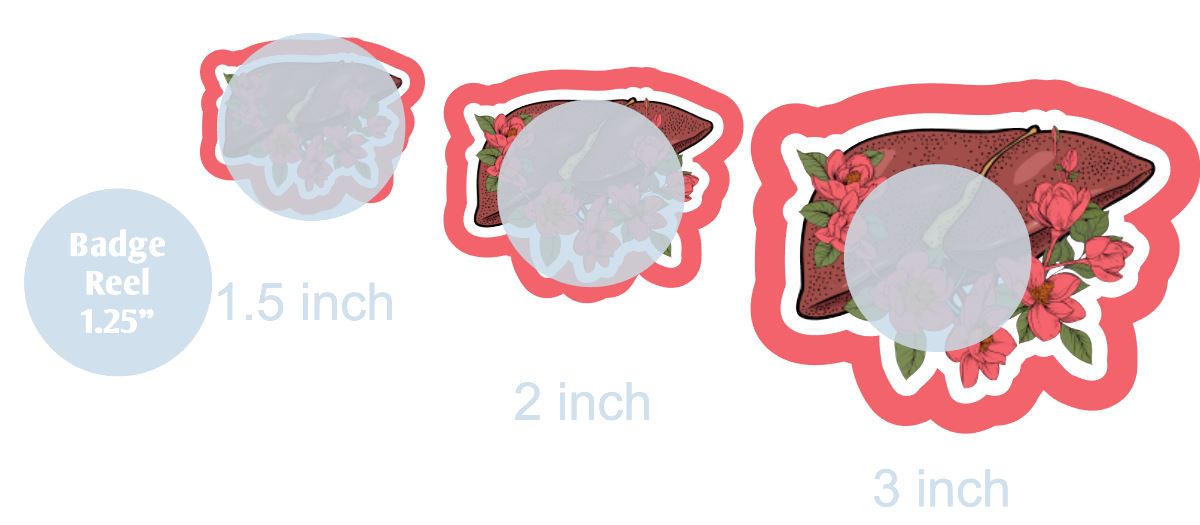 Anatomy Liver with Flowers - DECAL AND ACRYLIC SHAPE #DA0776