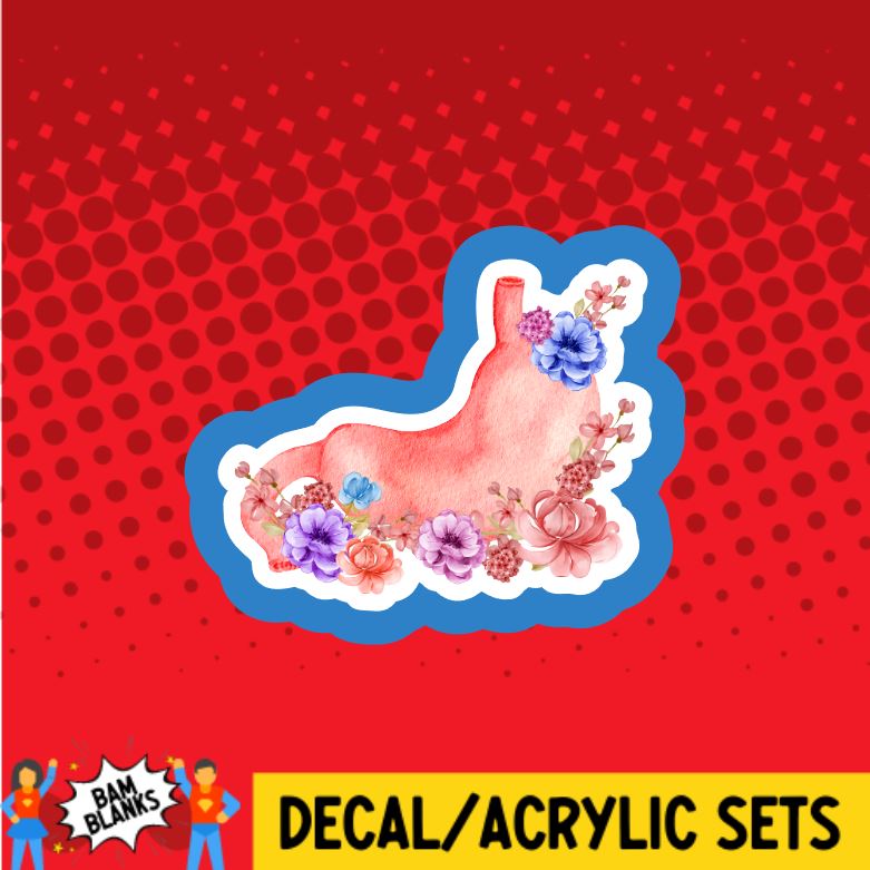 Anatomy Stomach with Flowers - DECAL AND ACRYLIC SHAPE #DA0774