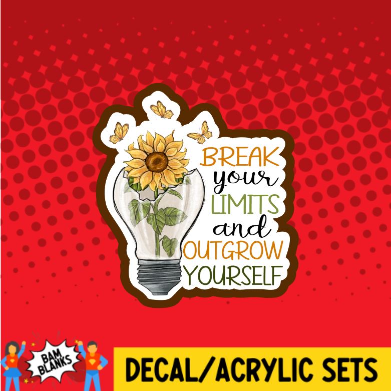 Break Your Limits - DECAL AND ACRYLIC SHAPE #DA0265