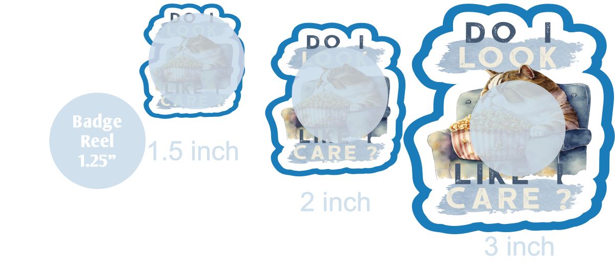 Do I Look Like I Care - DECAL AND ACRYLIC SHAPE #DA01234