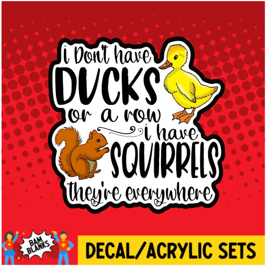 Ducks in a Row Squirrels Everywhere - DECAL AND ACRYLIC SHAPE #DA0018