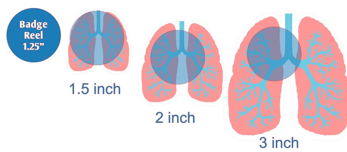 Lungs - DECAL AND ACRYLIC SHAPE #DA0255