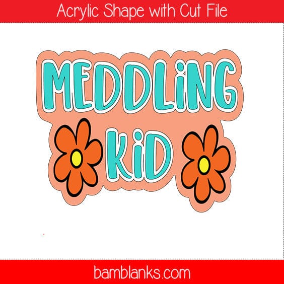 Meddling Kids - Acrylic Shape #722