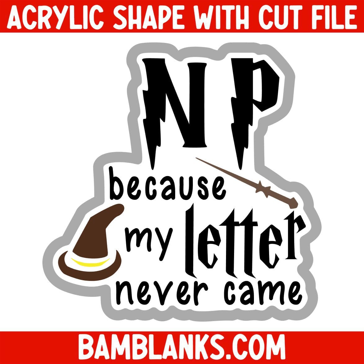 NP Because My Letter Never Came - Acrylic Shape #