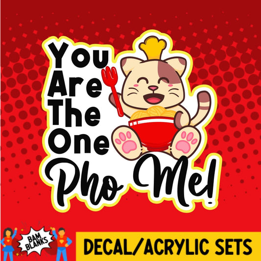 You Are the One Pho Me - DECAL AND ACRYLIC SHAPE #DA0294